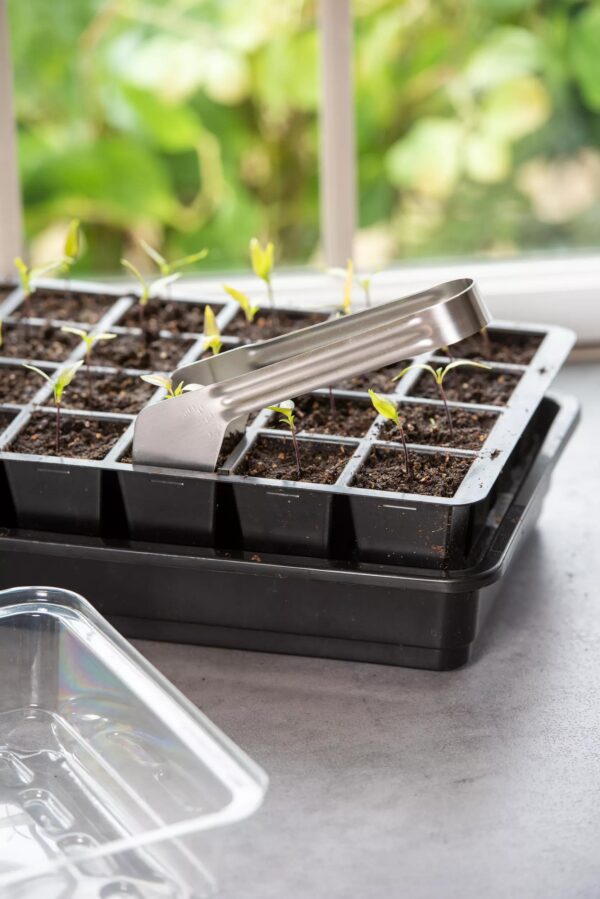 Seedling Transplant Tongs - Image 4