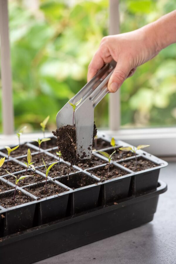Seedling Transplant Tongs - Image 5